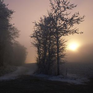 亚洲人 青少年 打屁股 得到sp
